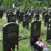 40 дней отцу Александру
